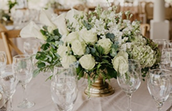Bloom Décor